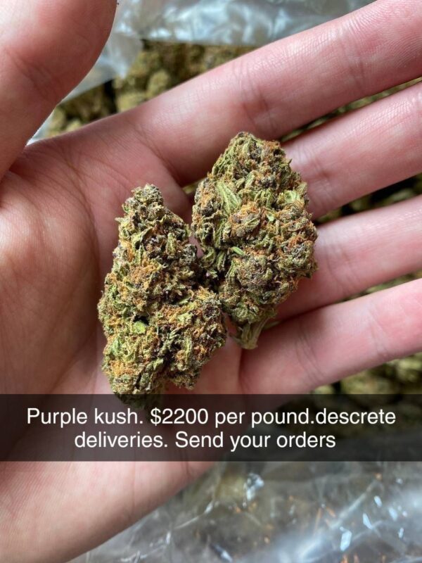 Cannabis
