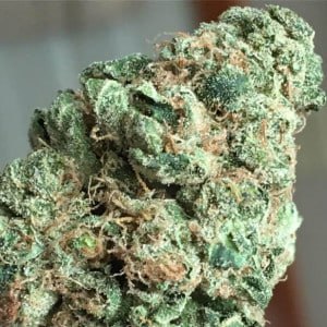 OG kush