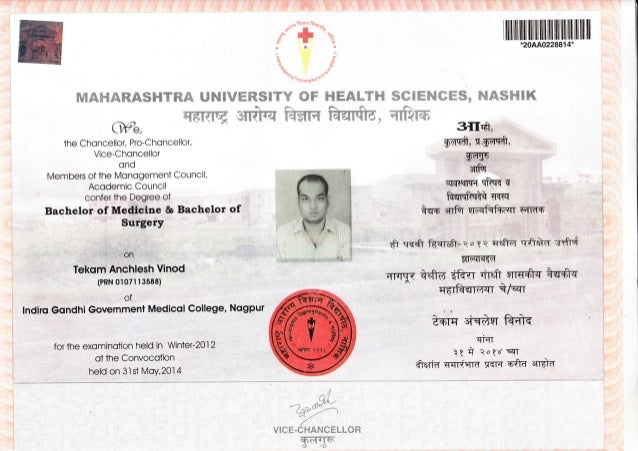 University Degrees