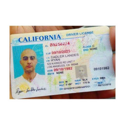 US Driver’s License