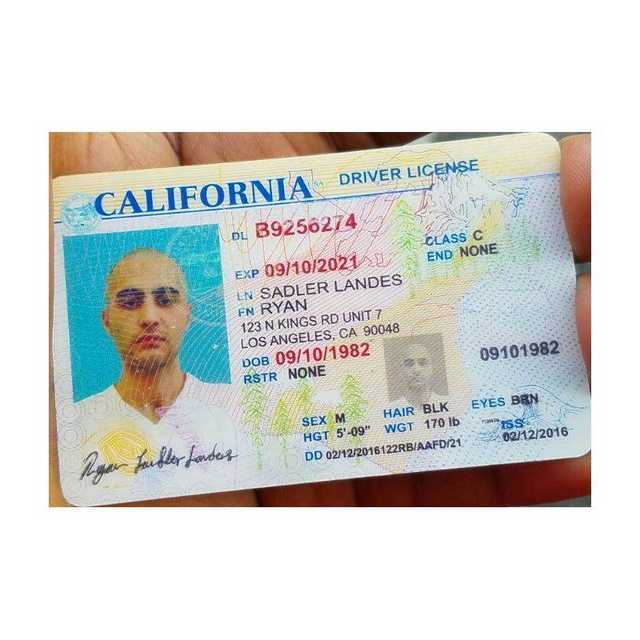 US Driver’s License