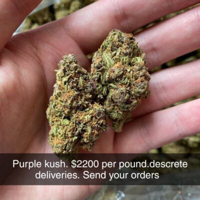 purple kush weed strains